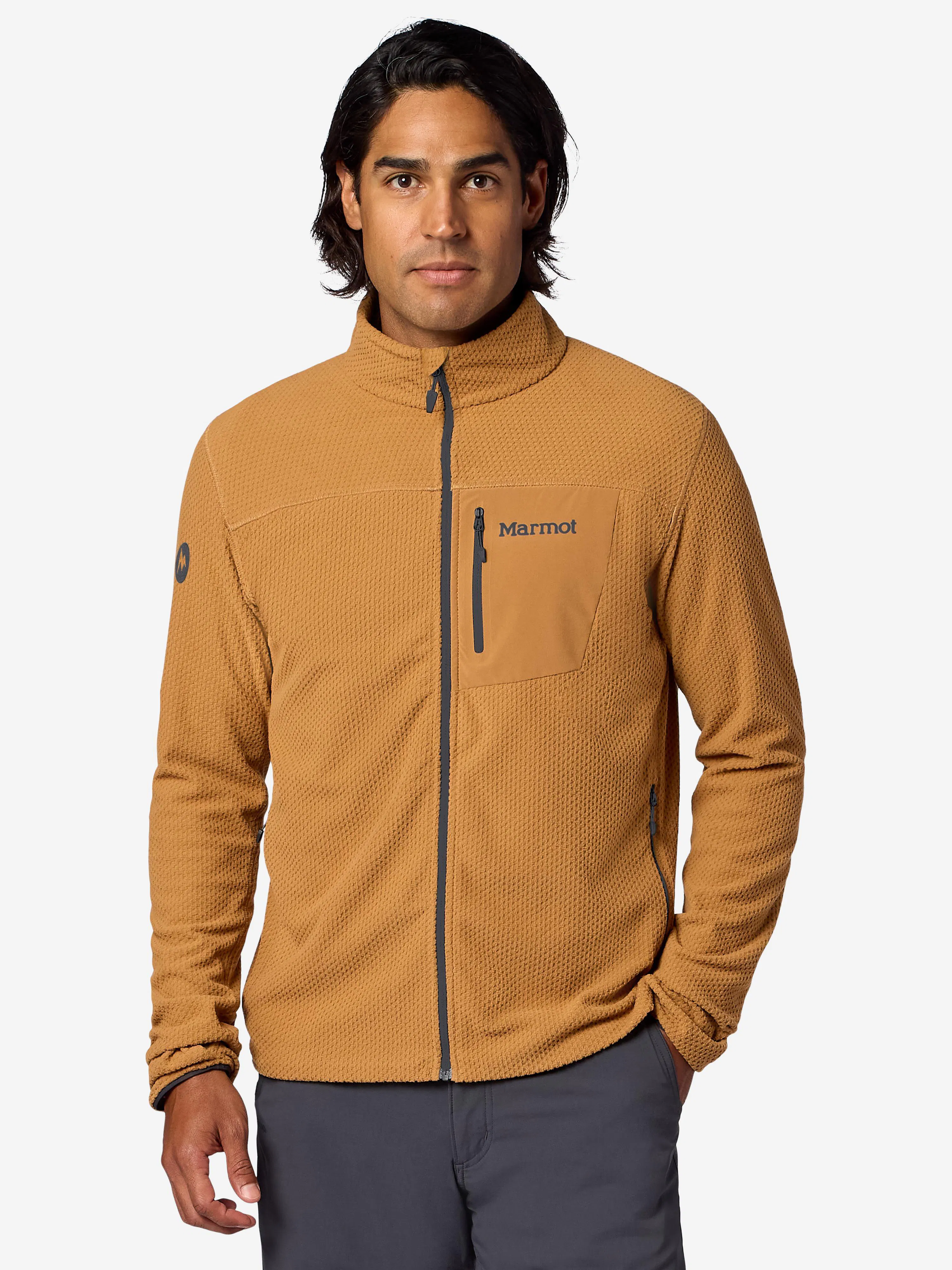 Dromedary