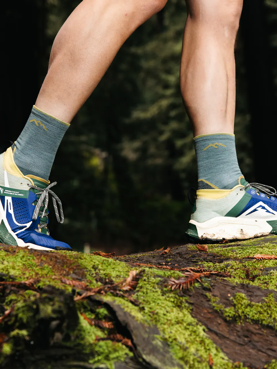 Light Hiker Micro Crew Lightweight with Cushion-Darn Tough Seafoam