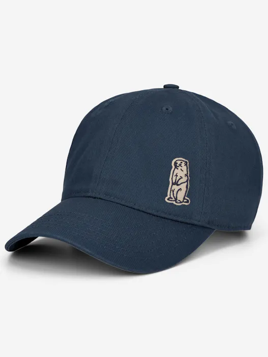 Marty Organic Cotton Dad Cap
