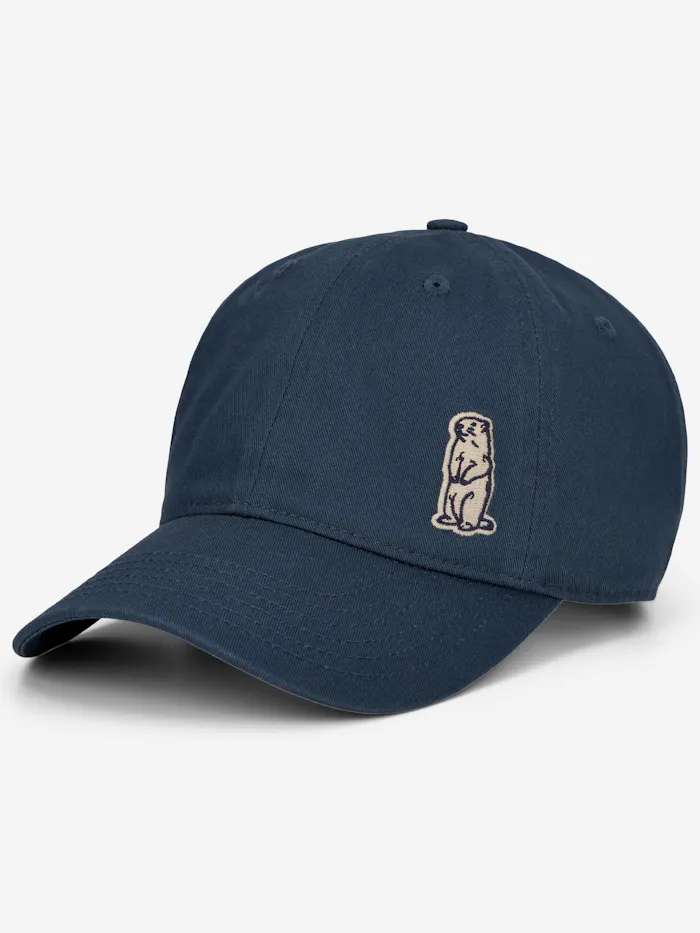 Marty Organic Cotton Dad Cap