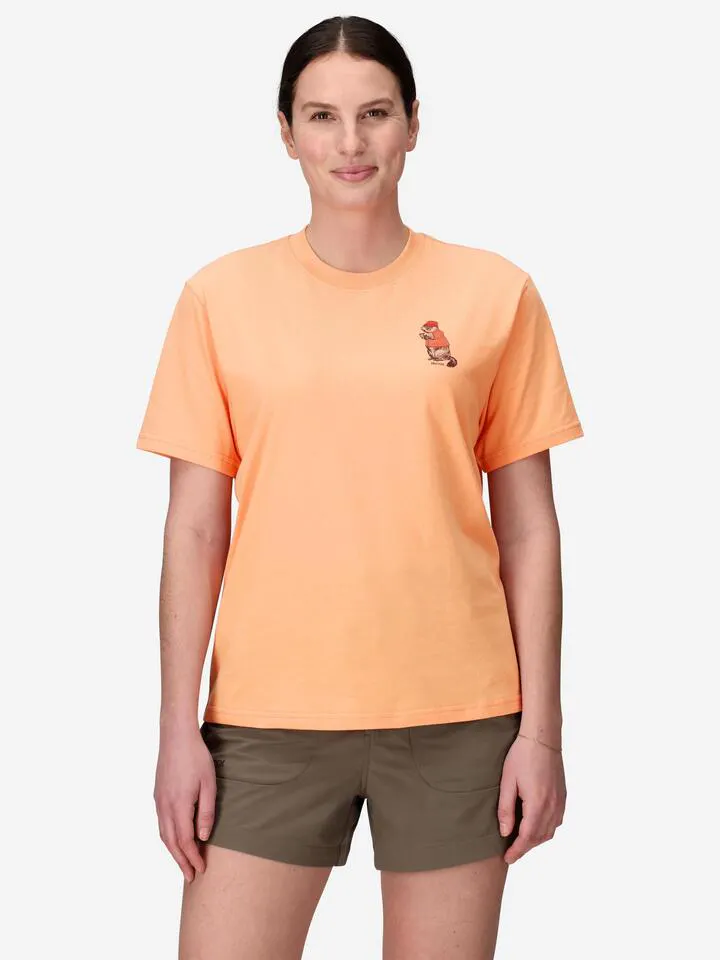Fresh Apricot