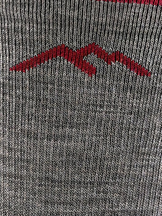 Darn Tough Men's Light Hiker Micro Crew Lightweight Hiking Socks