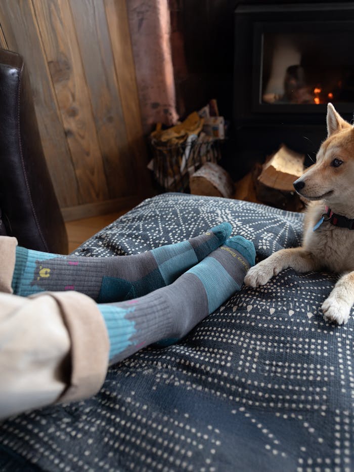 Darn Tough Women's Bear Town Micro Crew Lightweight Hiking Socks