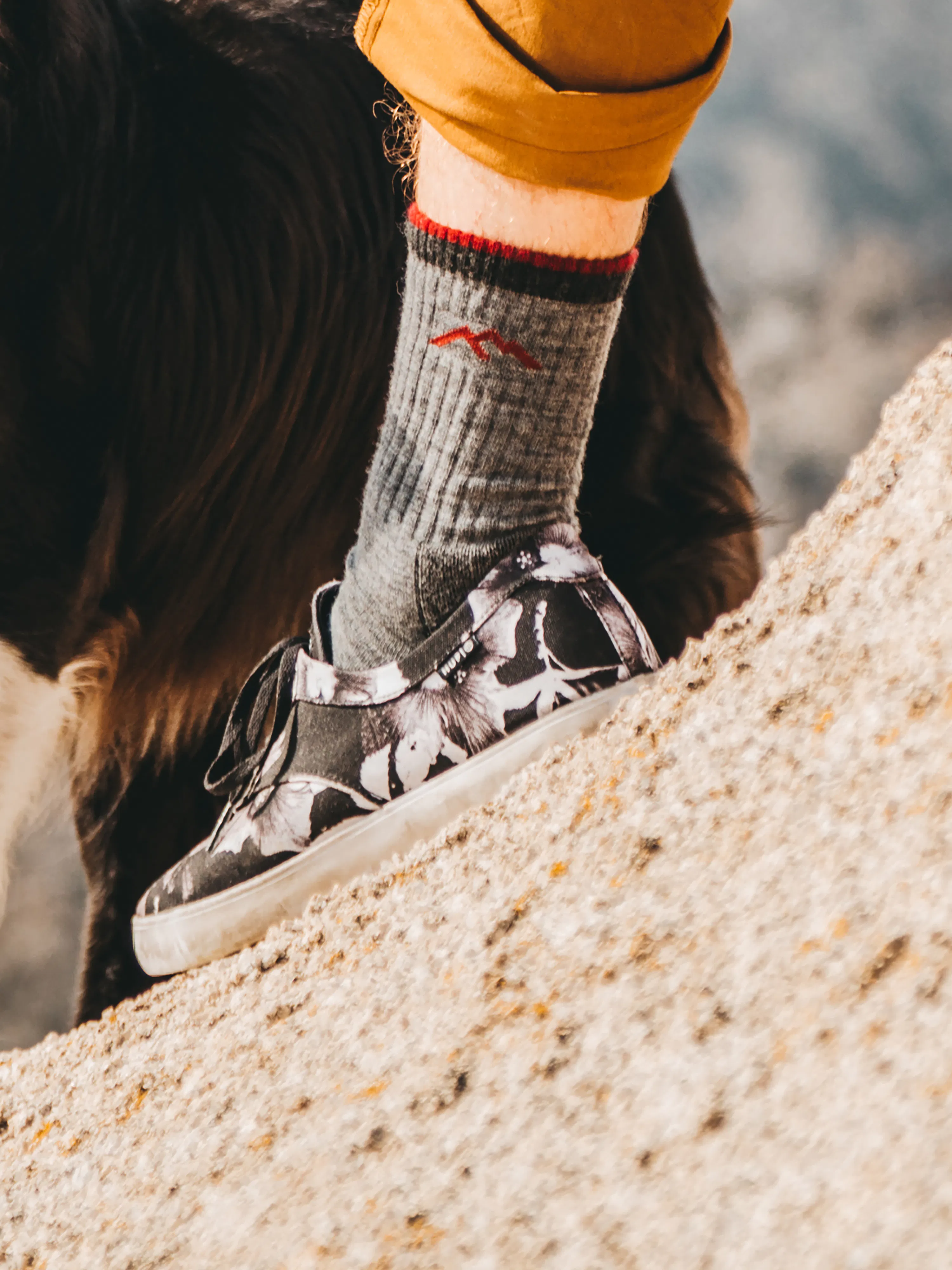 Darn Tough Men's Hiker Boot Midweight Hiking Socks
