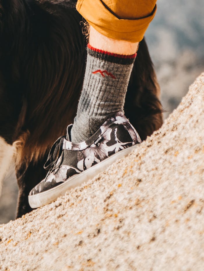 Darn Tough Men's Hiker Boot Midweight Hiking Socks