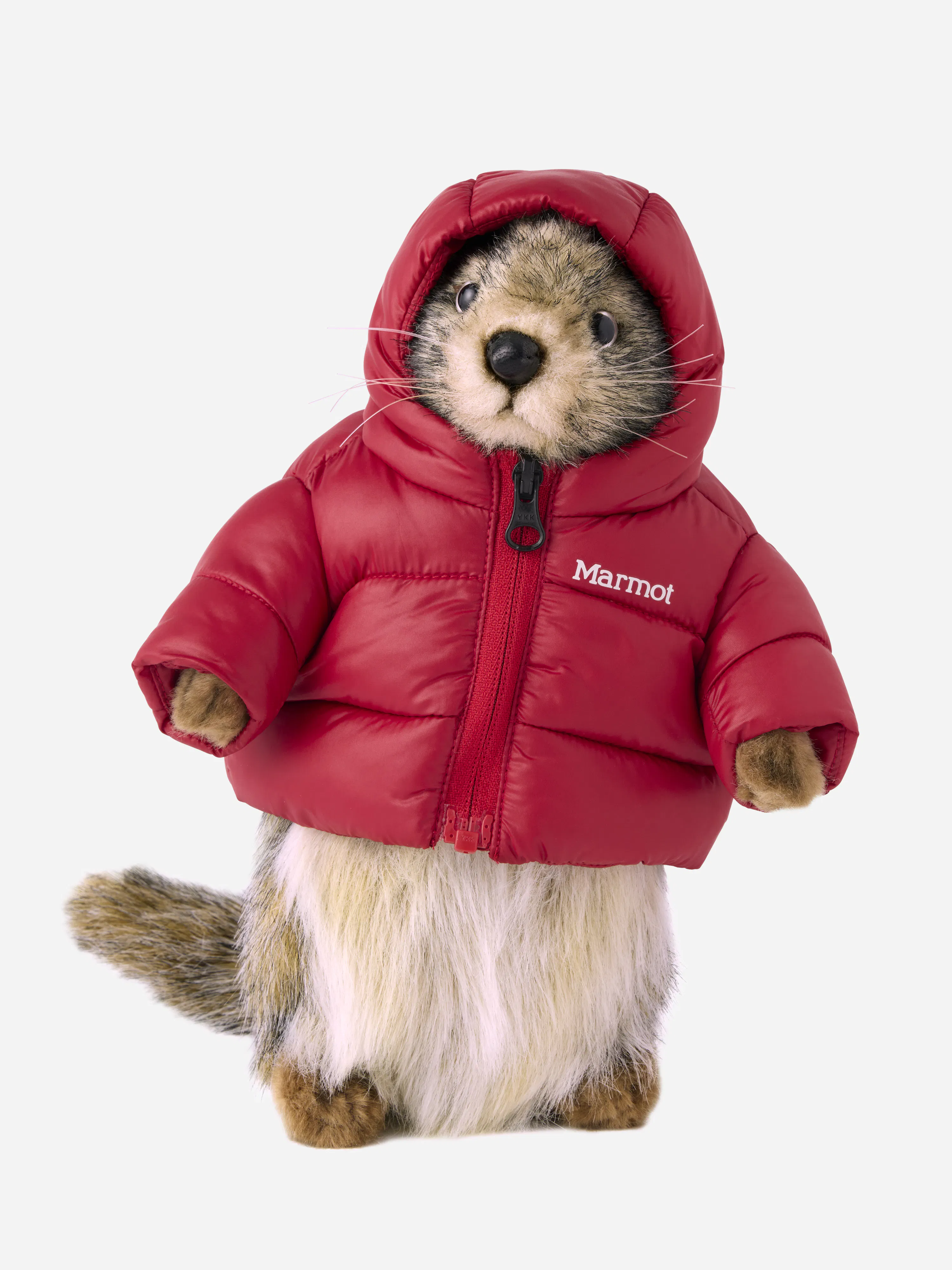 Marty the Marmot