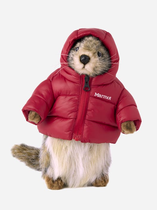 Marty the Marmot