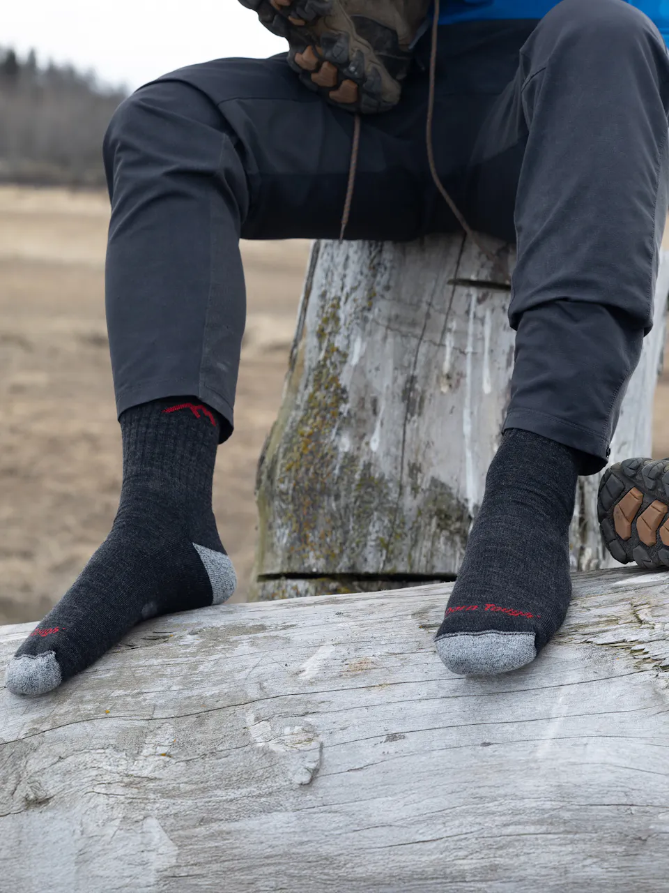 Hiker Micro Crew Midweight with Cushion-Darn Tough Black