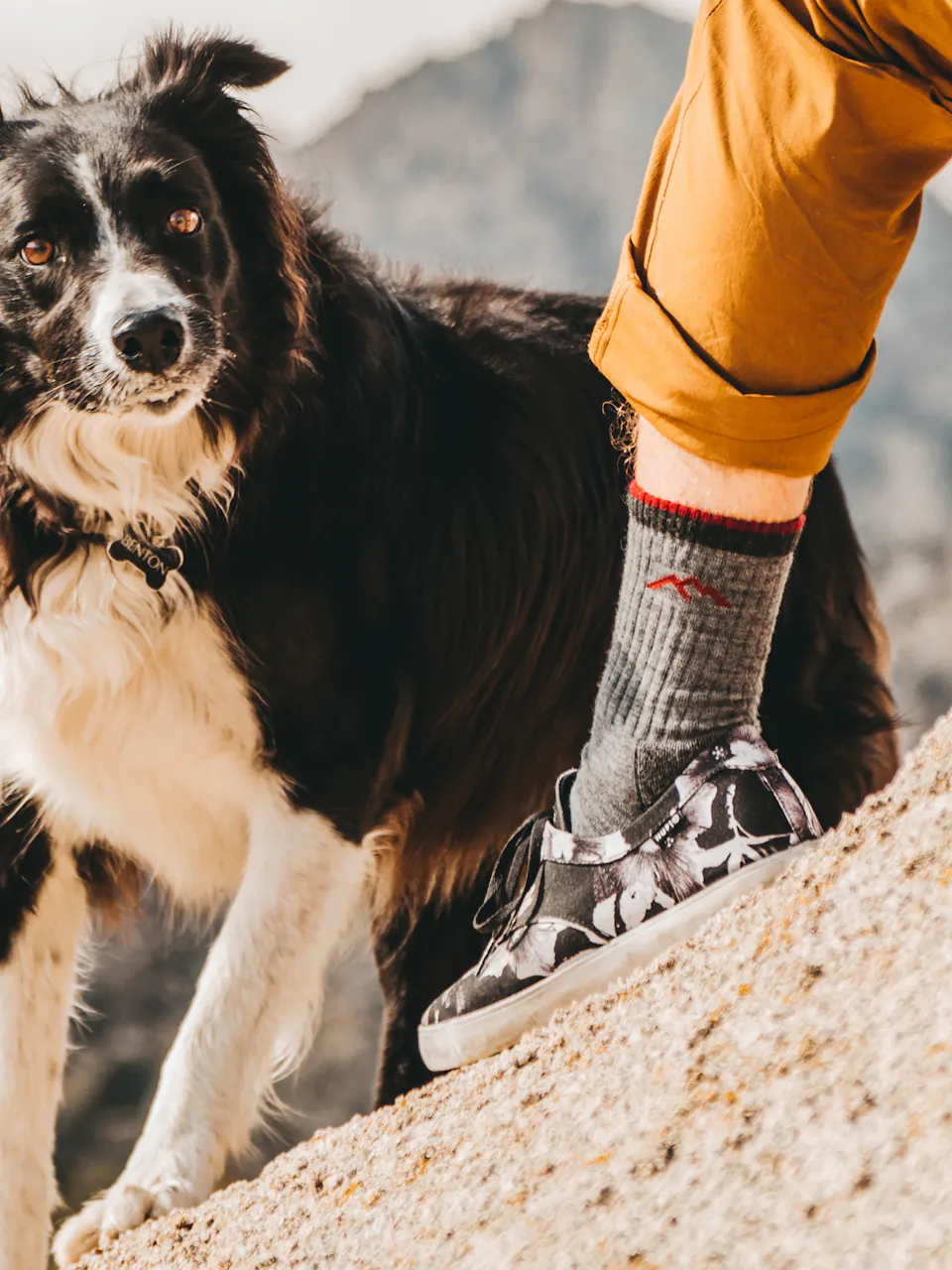 Hiker Boot Midweight with Full Cushion-Darn Tough Charcoal