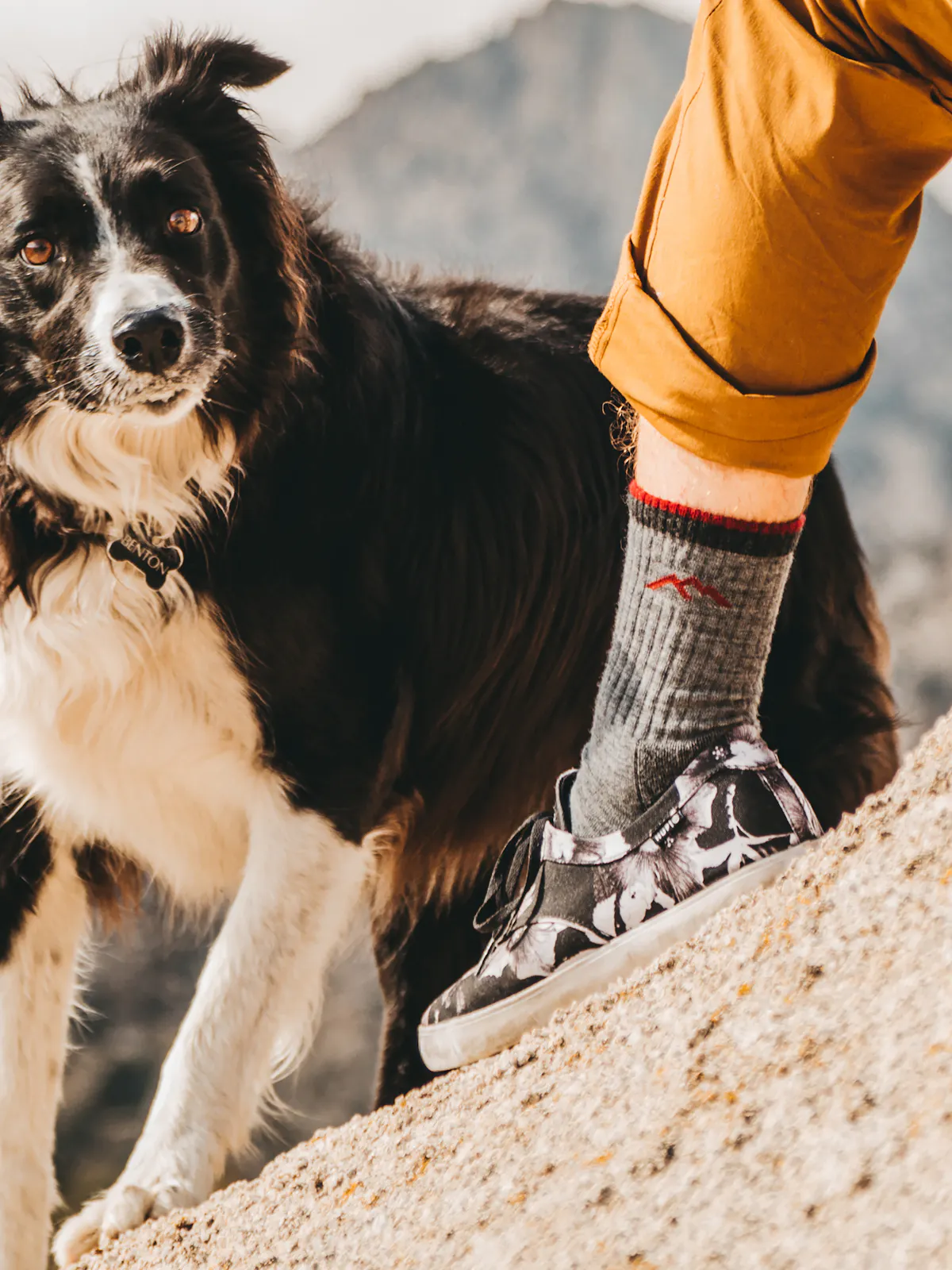 Hiker Boot Midweight with Full Cushion-Darn Tough Charcoal