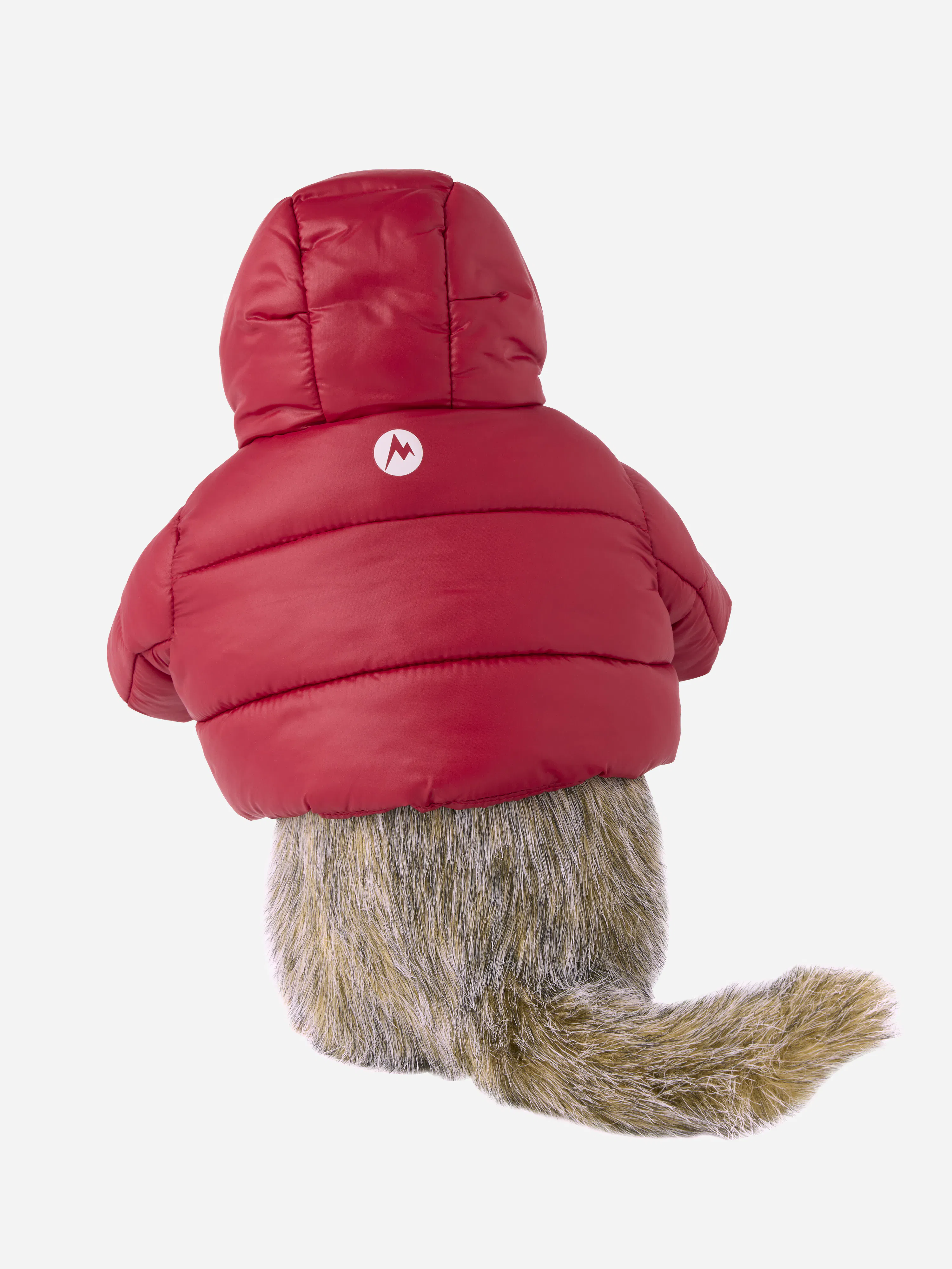 Marty the Marmot